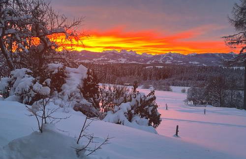 Kuh Heimat - Bergblick - Terrasse - Photo 56