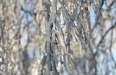 Casa Natur Pur, 85m2 mit Garten Sauna - Foto 44