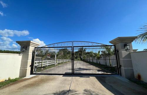 Tampa Bay Oasis - Foto 49