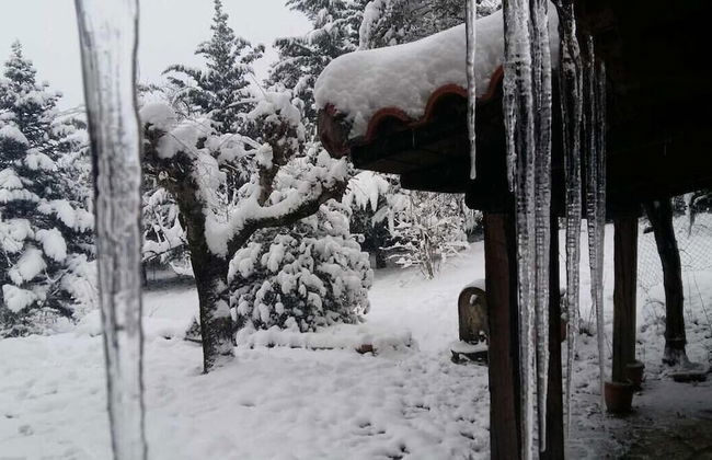 260m2 Unique Mountain House in Lilea Parnasos - Foto 75