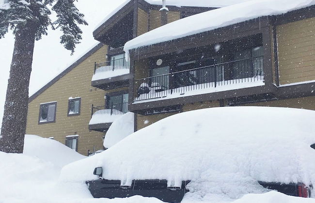 Alpine Meadows Peak 15 Min to Commons Beach - Photo 24