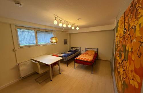 Nice and cosy studio apartment in a central location - Foto 2