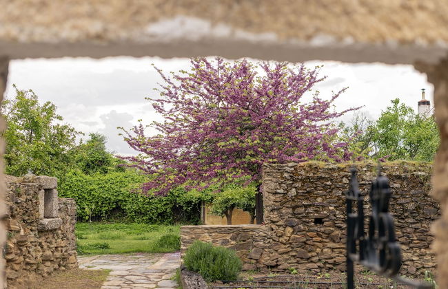 Finca El Azahar - Photo 35