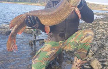 Dulrush Self-Catering Lodges - Foto 69