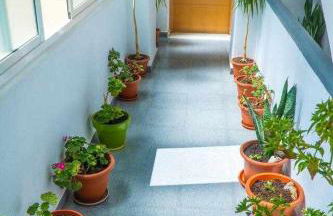 La Casa del Druida - Foto 31