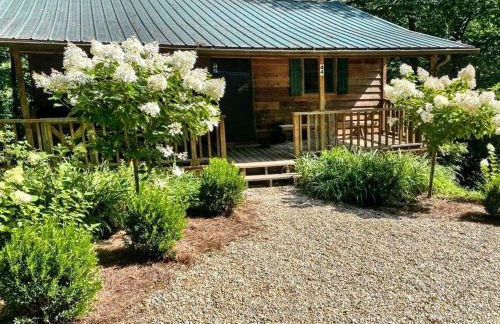 The Spotted Owl - Foto 3