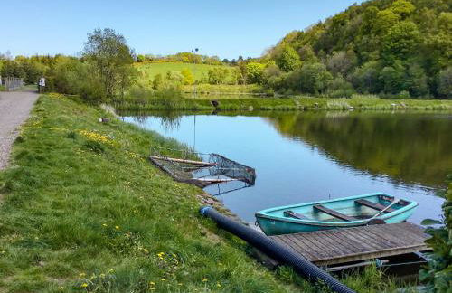 Carribber Beech - Foto 14