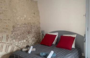 Palais PépinleBref Chateaux de la Loire Tours - 3 étoiles - Foto 19