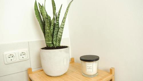 HOMY I Gemütliches Apartment Gohlis Netflix und W-LAN - Foto 5