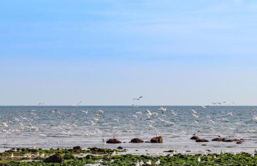 Cae'r Wylan - Foto 26