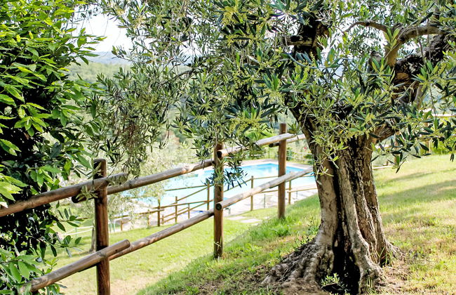 Malagronda - Foto 21