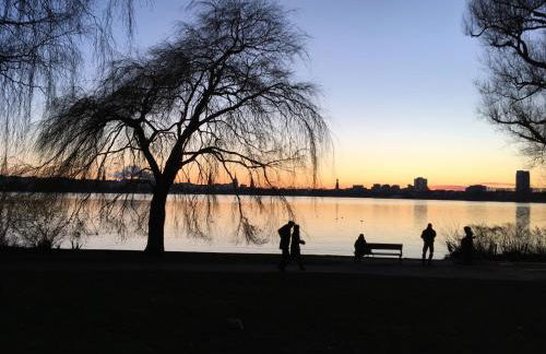 Aparthotel York - Foto 25