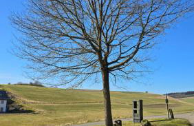 RINGZEIT-Lodge - Foto 63