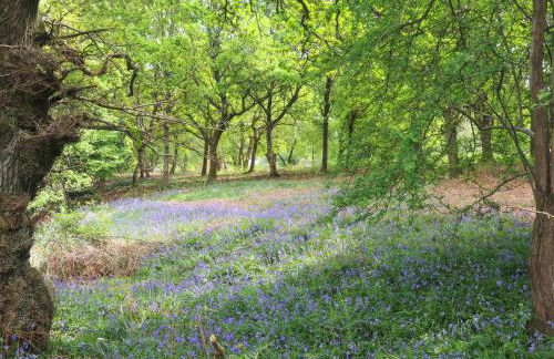 Deer Lodge - Photo 37