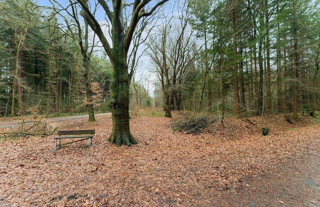 Forest House in Norg With Private Sauna - Photo 32