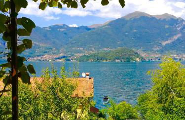 L'Agrifoglio - Foto 20