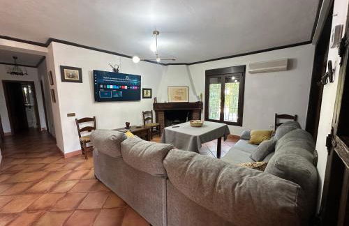 La Algazara - Foto 25