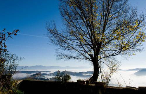 Palazzo Contino - Foto 53