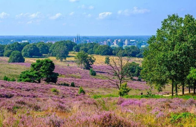 Bunglow for two Person in Mook - Photo 36