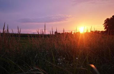 Na Chałupki - Foto 26