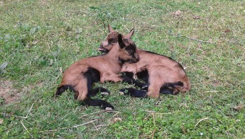 La finestra sulla valle - Foto 3