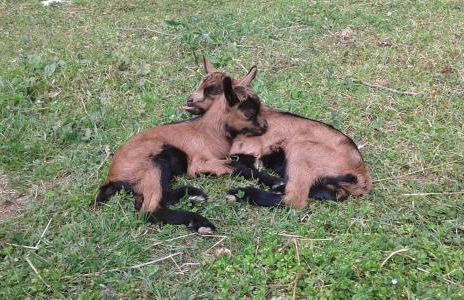 La finestra sulla valle - Foto 3
