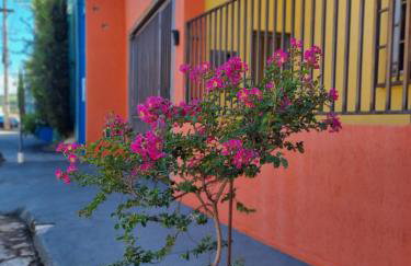 Casa 4 quartos l ar-condicionado l garagem l centro - Foto 1