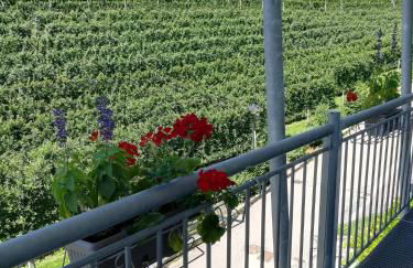 Casa Clima Tandem - Foto 12