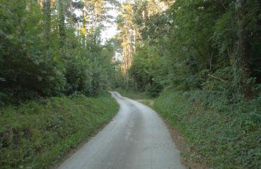 Apartmani Xenia & Desiderio - Foto 40