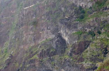 CASAS MARE , Ponta Delgada, Madeira - Foto 32