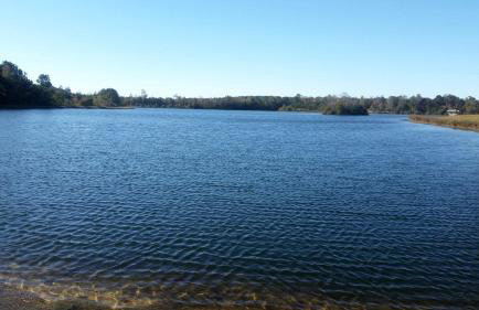 Extraordinary Lodge Perfect for Events near Lumberton, Mississippi - Foto 16