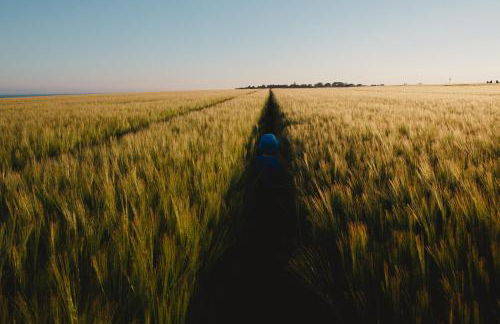 The Crow's Nest - Foto 24