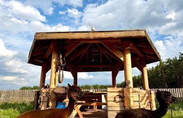 Farma Puchałowo - Foto 9