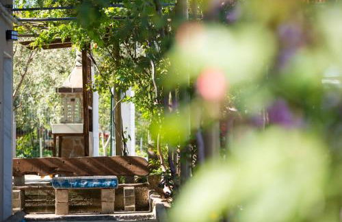 Studios Garden - Foto 25