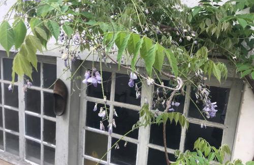 les petits sportifs - Foto 16