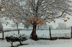 Conkers Cottage - Photo 20