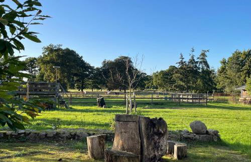 Ferienhof Bühne - Foto 7