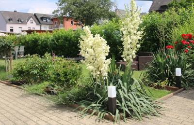 Gaestehaus Kön - Fewo Farfalle - Foto 19
