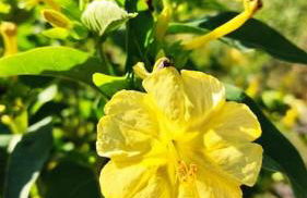 Casa De Madera, A home from home. - Foto 37