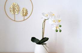 Piccola Corte di Borgo Vico - Foto 20