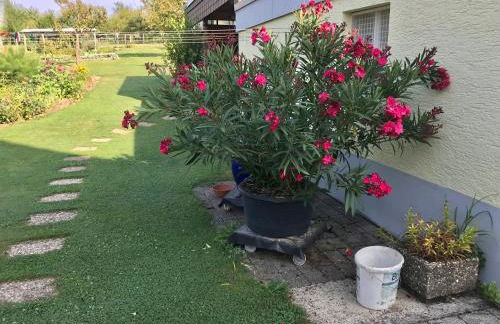 Privates Apartment im Grünen - Foto 6