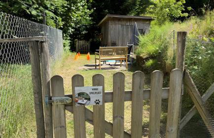 Schwarzwaldhaus Zwink - Photo 22