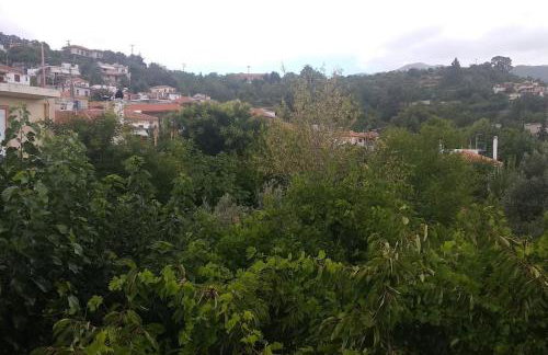 Green Garden appartment with mountain view, Vitala - Foto 17