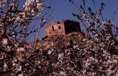 Apartamentos Rurales San Juan - Foto 20