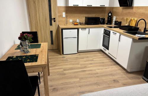 Apartament nad rzeką - Photo 25