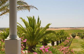 Herdade dos Grous - Foto 55