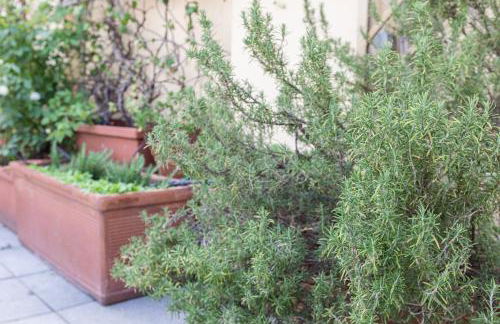 Sempione Split-level Terrace Apartment - Top Collection - Foto 26