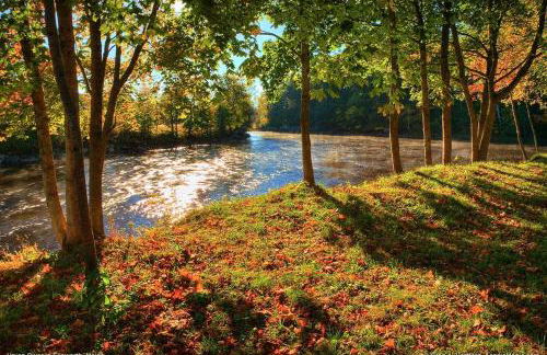 Mariner's Reach - Photo 37