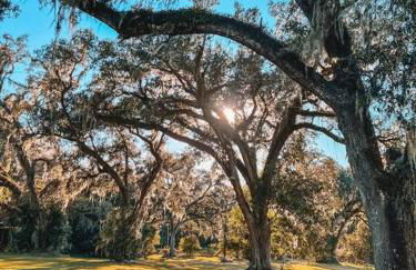 Quiet Farmhouse IN THE COUNTRY close to major theme parks - Photo 18