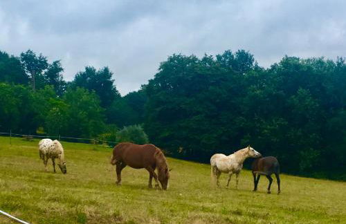 Petite Vue Vert - Foto 4